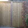 Pressure Treated Shiplap Side Gate & Panel Wicklow